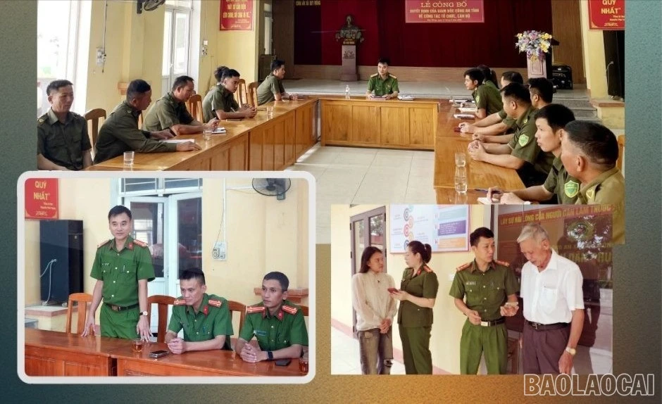 baolaocai-br-3421.jpg