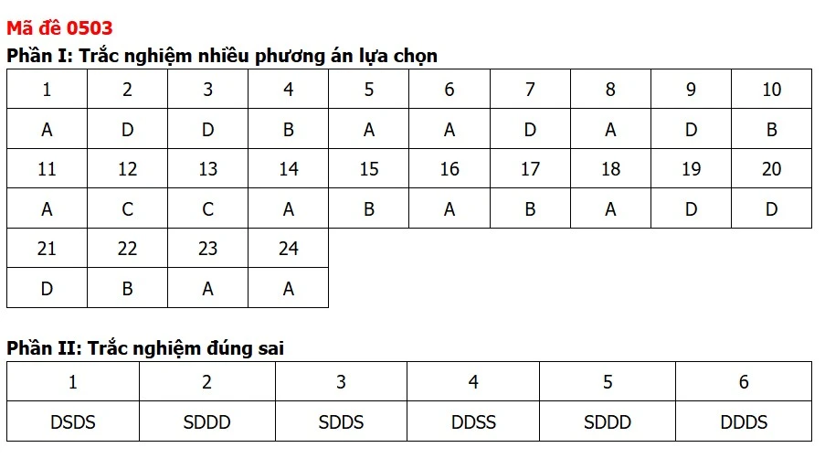 tin-3.jpg