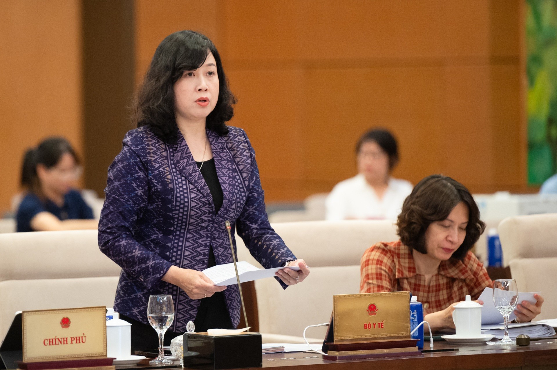 Bộ trưởng Y tế phát biểu về dự thảo pháp lệnh. z61-3779-bo-truong-bo-y-te-dao-hong-lan-1-85624.jpg