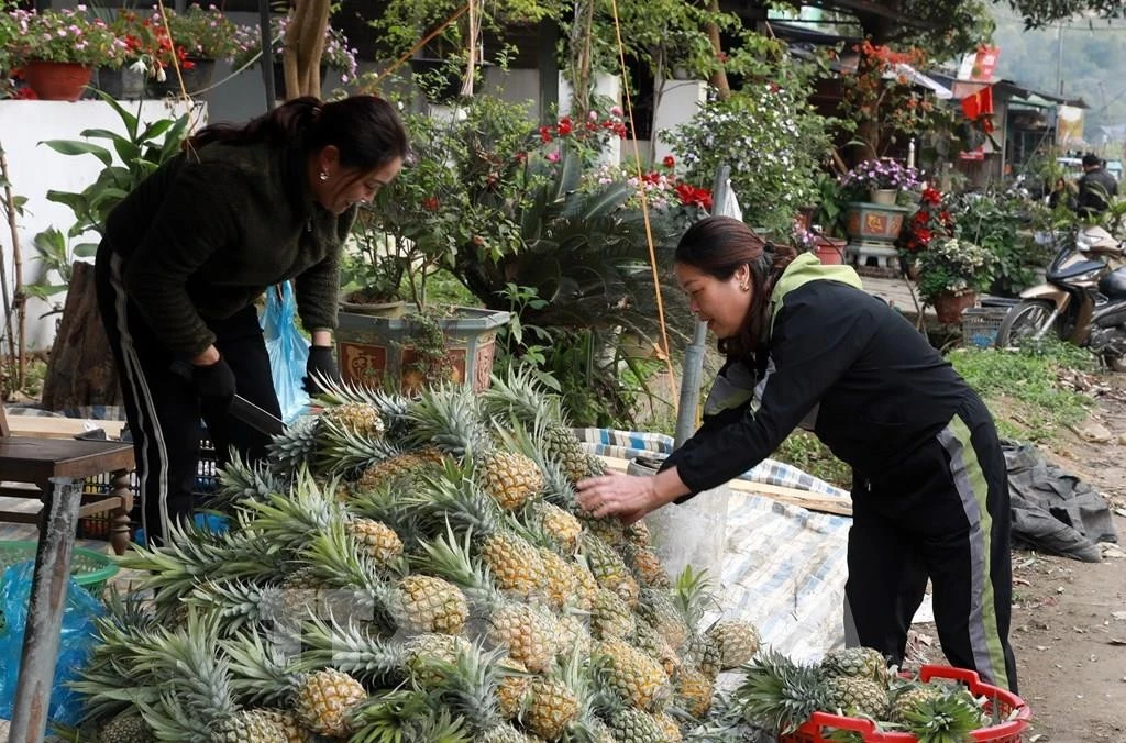 Nông sản được bán trên tuyến đường ra thành phố Lào Cai.
