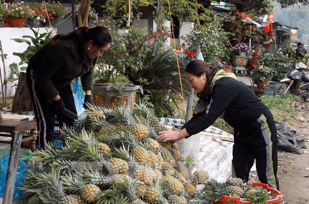 Nông sản được bán trên tuyến đường ra thành phố Lào Cai.
