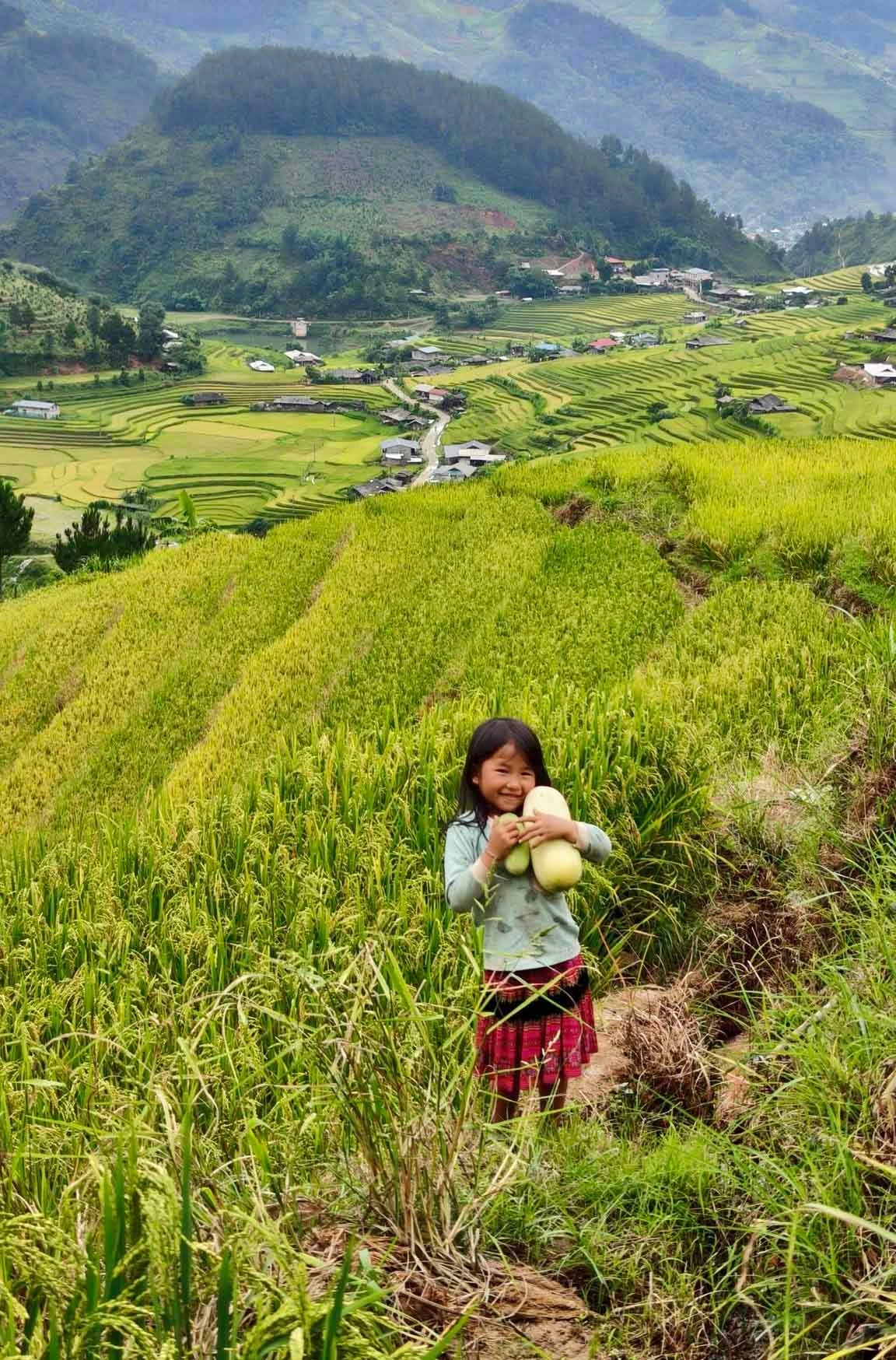 Em nhỏ mặc trang phục truyền thống đứng bên ruộng lúa chín.