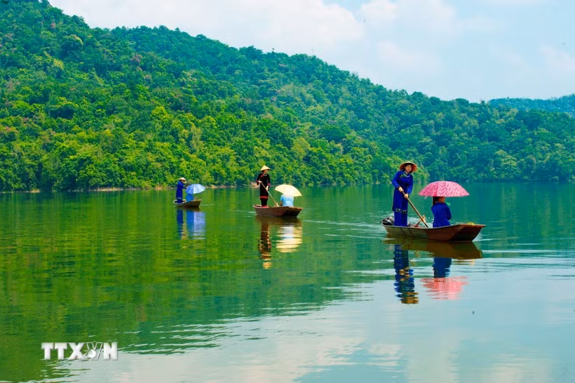 Việt Nam nhận gần 1.900 tỷ USD từ Quỹ khí hậu xanh cho dự án giảm phát thải rừng.