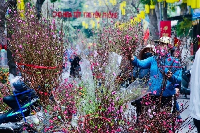 Chợ hoa ngày giáp tết. Chợ hoa ngày giáp tết.