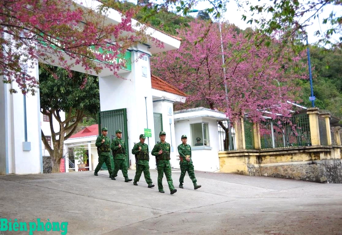 Cán bộ, chiến sĩ Đồn Biên phòng Lũng Cú, Bộ đội Biên phòng tỉnh Tuyên Quang tăng cường tuần tra, kiểm soát chặt chẽ biên giới, giữ gìn an ninh trật tự, bảo vệ cuộc sống bình yên cho Nhân dân.
