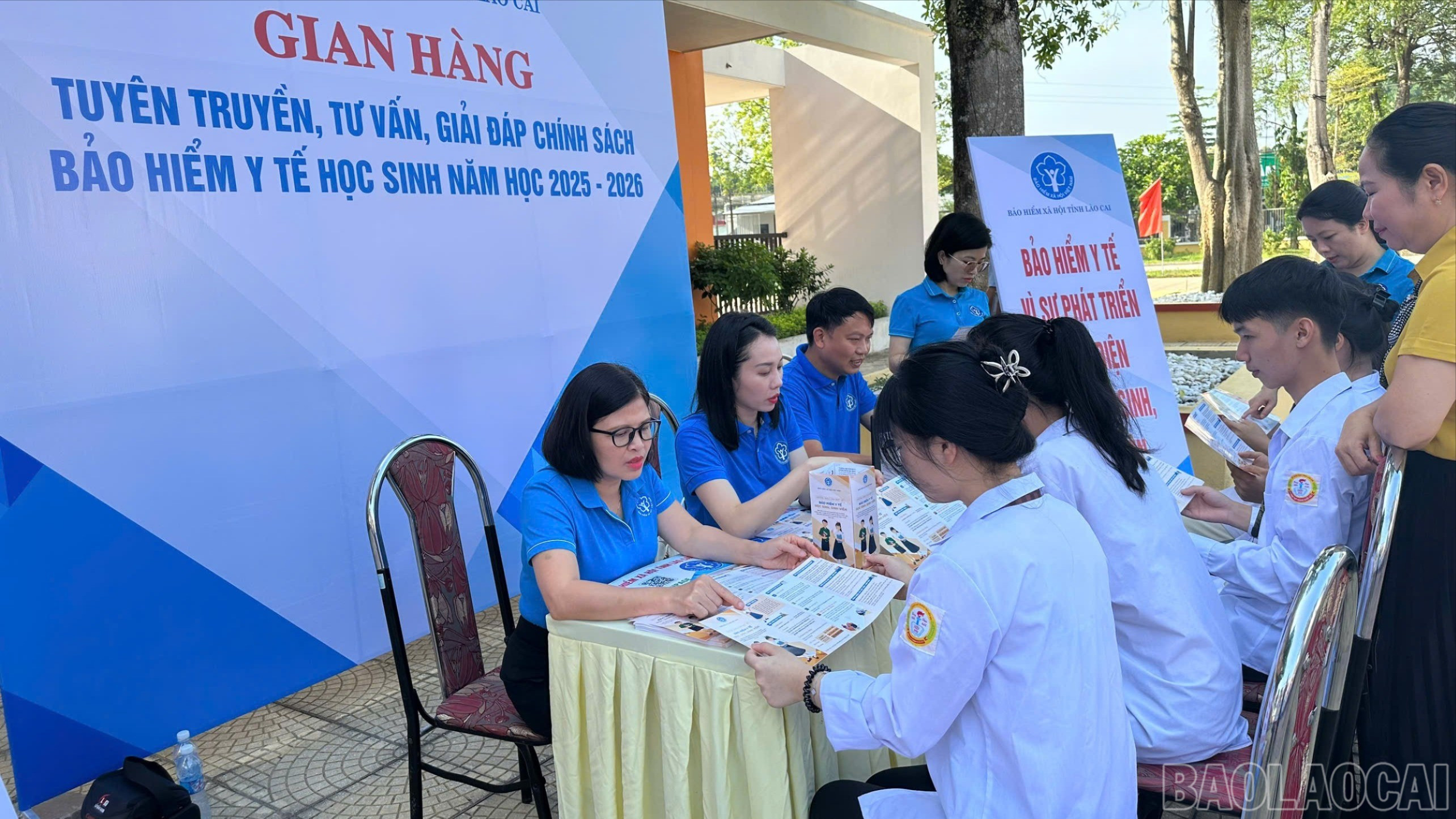 baolaocai-tr-z6988526174792-4b0c6fcfe7c63219feec9b31e5b8f010.jpg