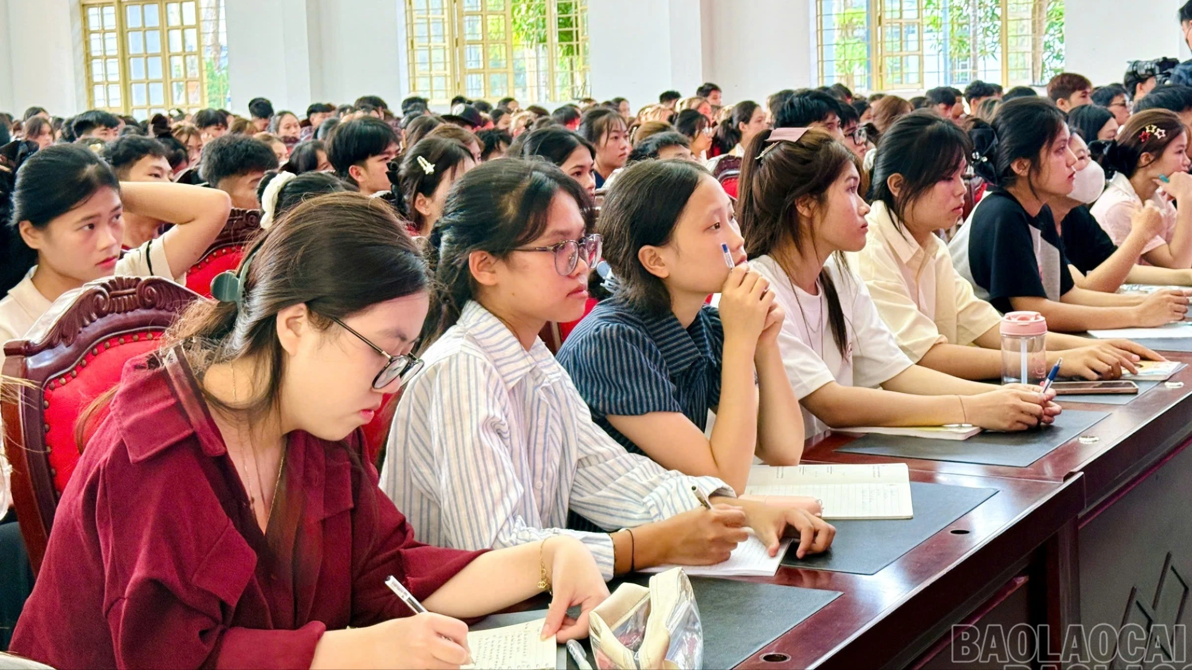 baolaocai-br-z6989392397396-7e11cb9d7e95e025f3e247395284bdb4.jpg