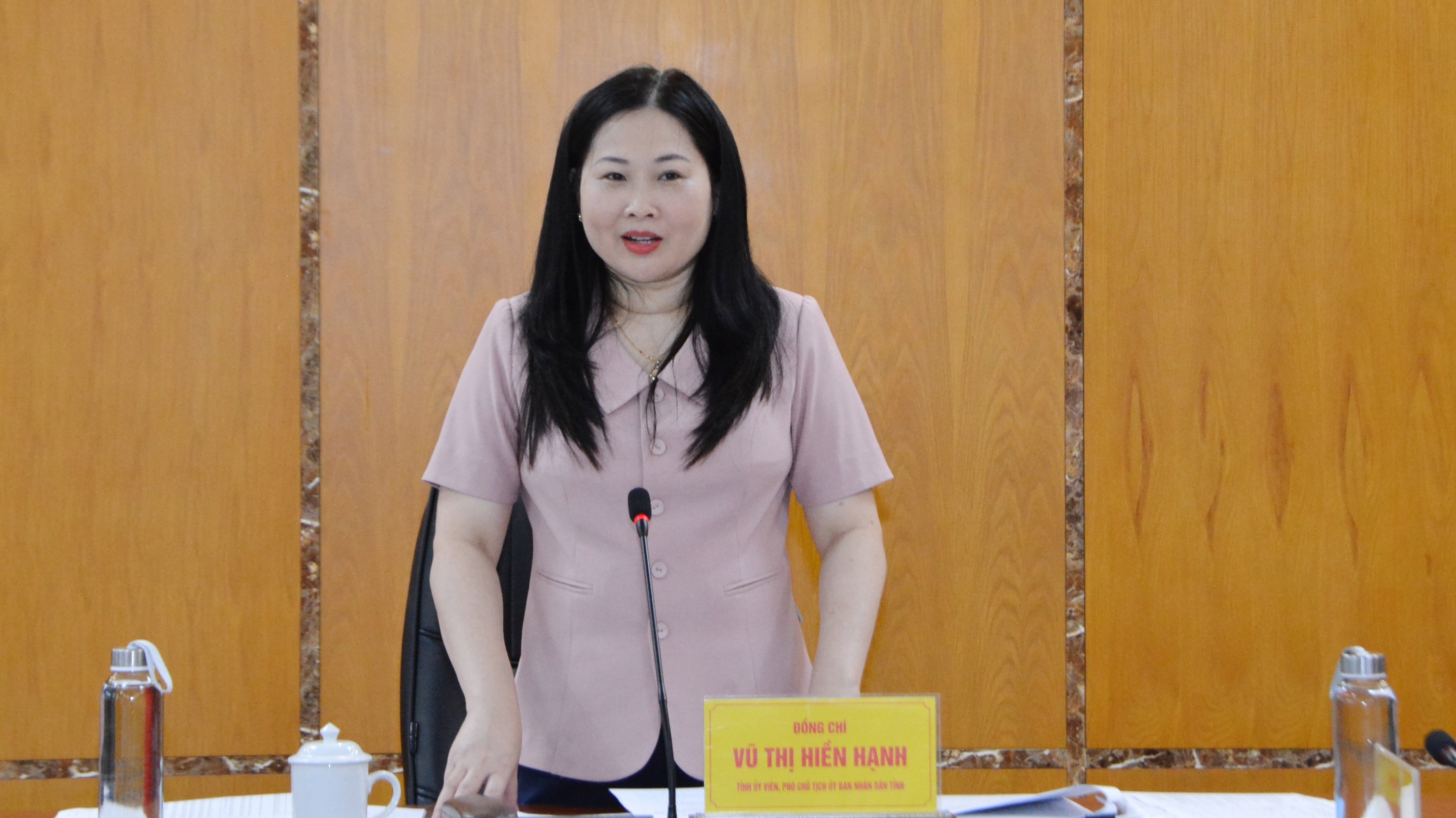 Đồng chí Vũ Thị Hiền Hạnh, Phó Chủ tịch UBND tỉnh phát biểu tại buổi họp duyệt văn kiện. dsc-7677.jpg