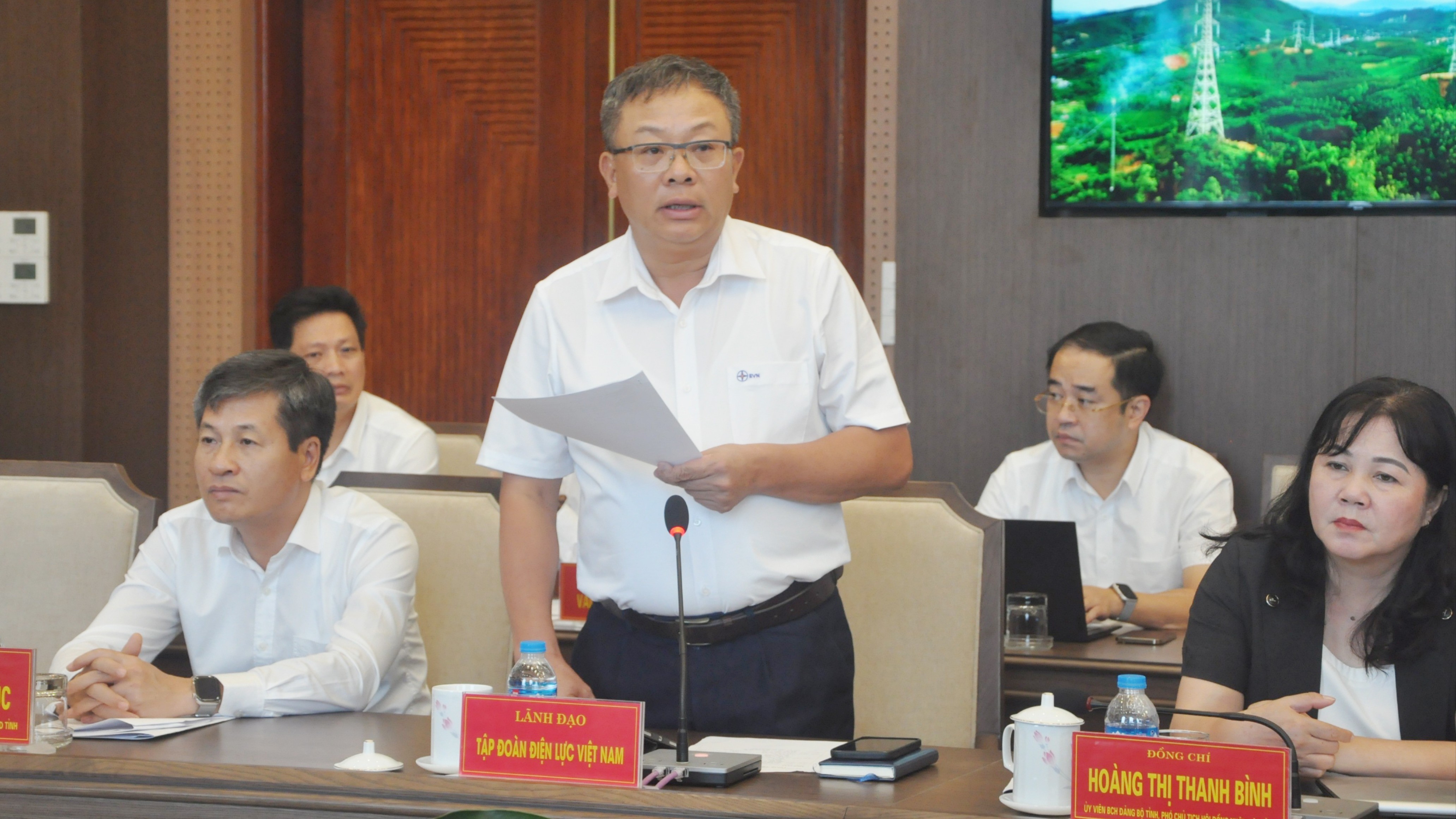 Ông Phạm Hồng Phương, Phó Tổng Giám đốc Tập đoàn Điện lực Việt Nam phát biểu tại hội nghị. dsc-01111-9414.jpg