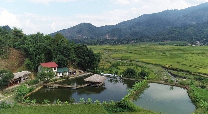 Nhiều mô hình phát triển kinh tế mới ở nông thôn Lào Cai phát huy hiệu quả kinh tế cao. Nhiều mô hình phát triển kinh tế mới ở nông thôn Lào Cai phát huy hiệu quả kinh tế cao.