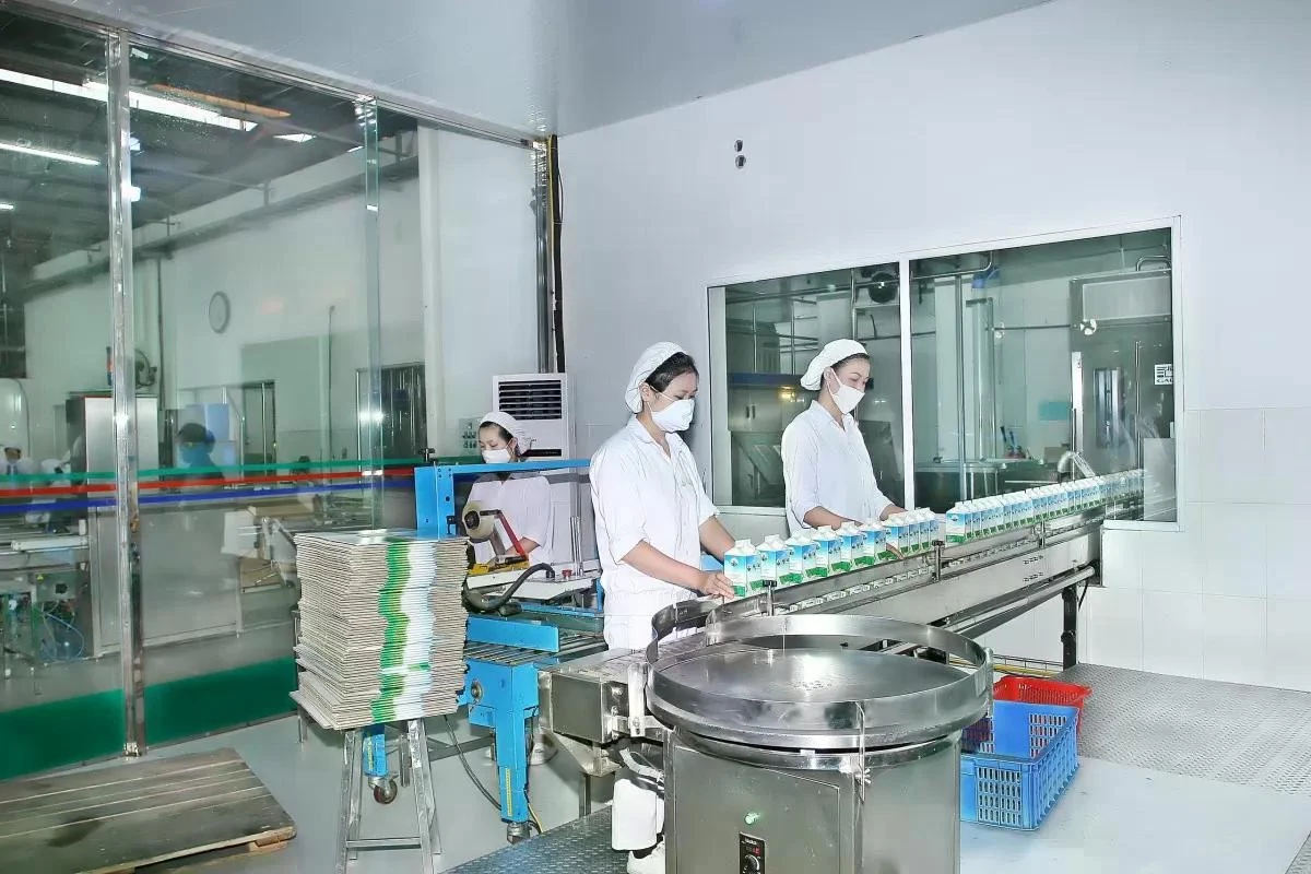 Việc giảm thuế 2% sẽ giúp thúc đẩy hoạt động sản xuất, kinh doanh sớm phục hồi và phát triển để đóng góp trở lại cho ngân sách cũng như nền kinh tế.