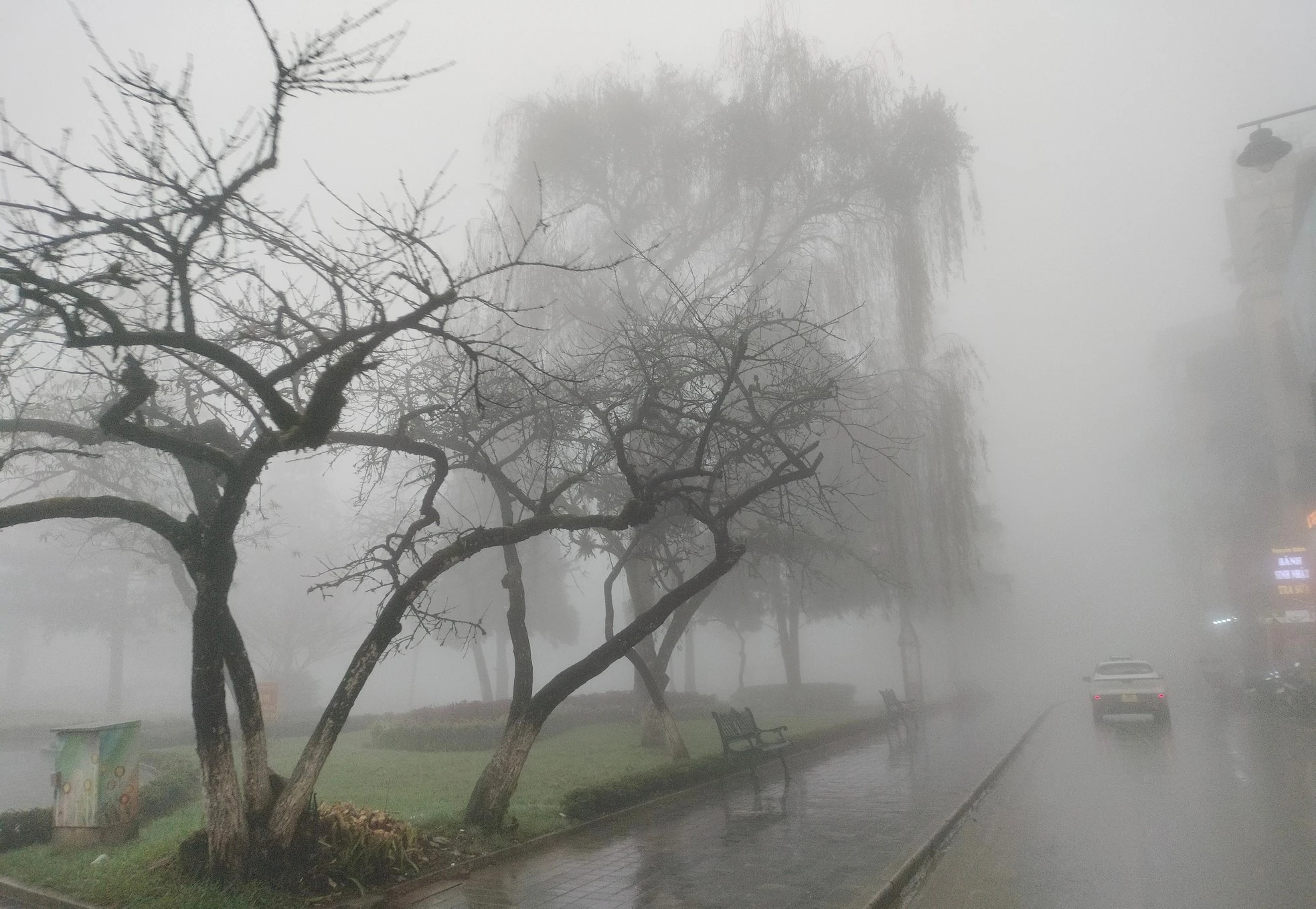 Xuyên suốt dịp tết Nguyên đán diễn ra các hoạt động đặc sắc, hứa hẹn thu hút đông đảo du khách đến tham quan, trải nghiệm.