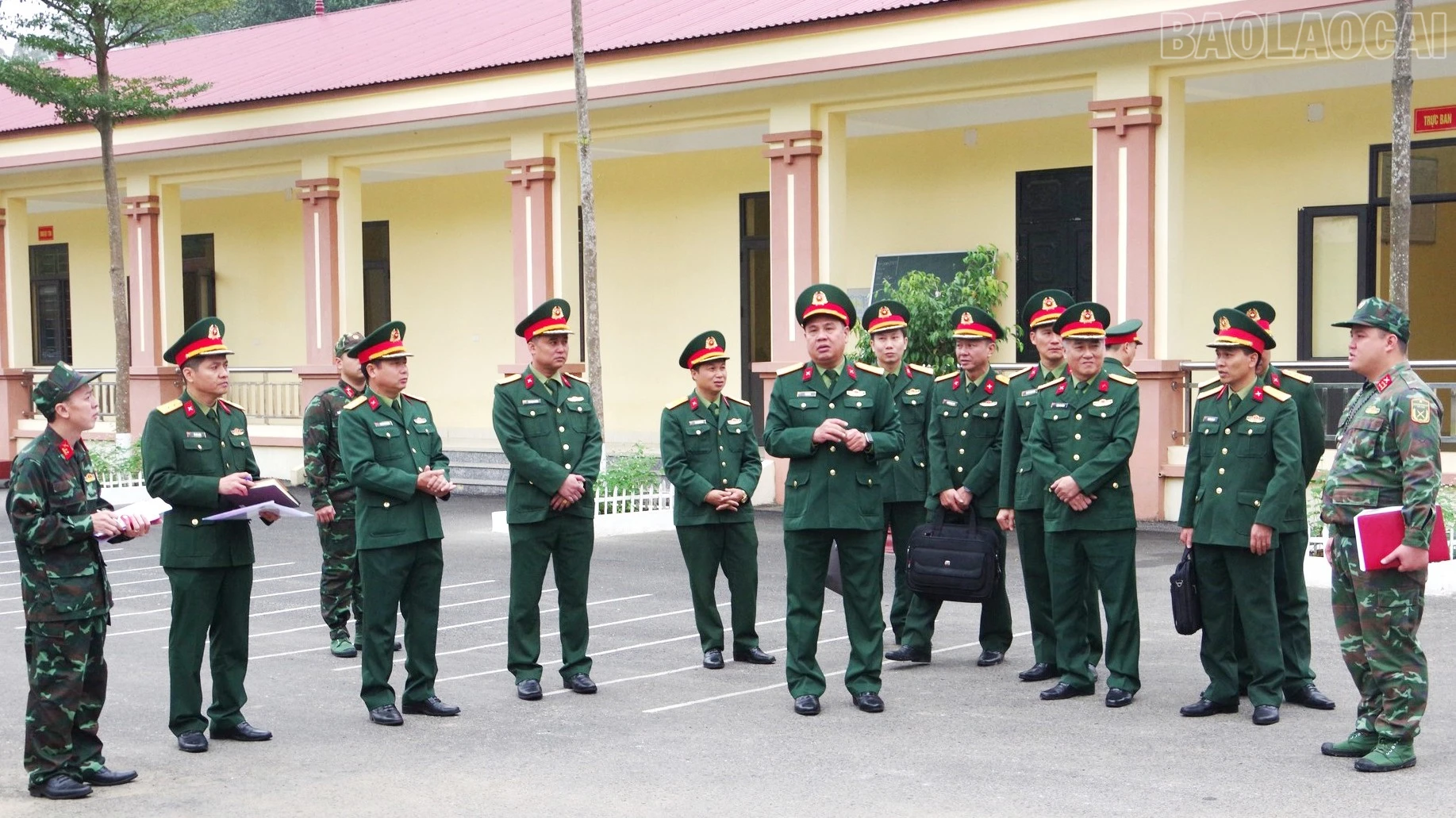 baolaocai-tr_a1-18.jpg
