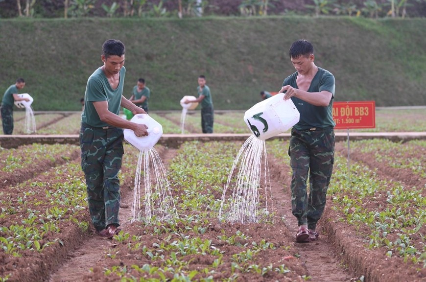 Trung sĩ Sùng A Súa (bên phải) chăm sóc vườn rau tăng gia với các chiến sĩ trong tiểu đội.