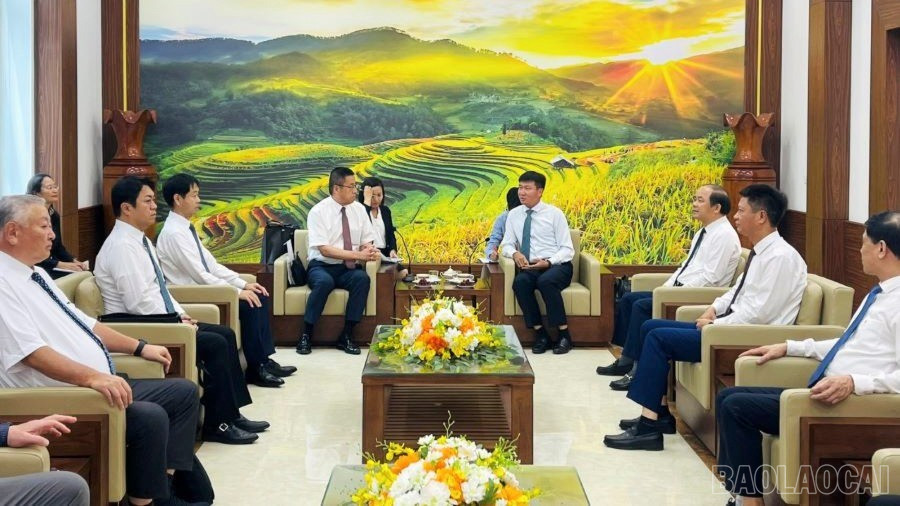 Đồng chí Trần Huy Tuấn - Phó Bí thư Tỉnh ủy, Chủ tịch UBND tỉnh tiếp, làm việc với đoàn công tác Nhật Bản. baolaocai-br_4.jpg