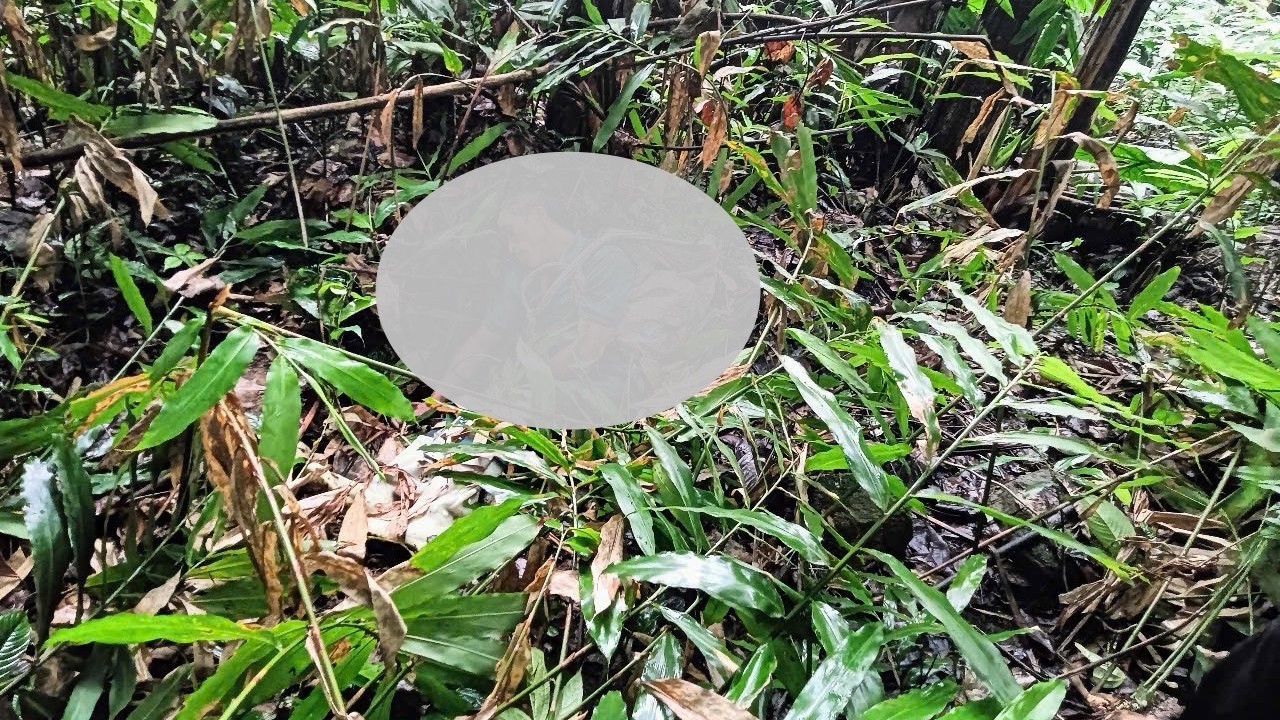 Hiện trường vụ án. anh-1-hien-truong-noi-xay-ra-vu-an.jpg