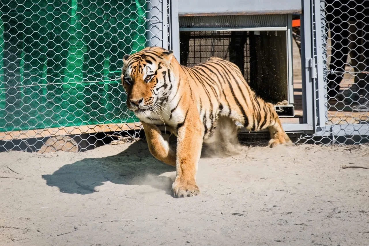 Năm 2015, Phong Nha-Kẻ Bàng được UNESCO công nhân Di sản Thiên nhiên thế giới lần 2, với tiêu chí đa dạng sinh học.