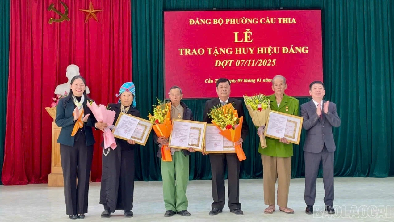 baolaocai-br-z7413265472416-5d4cec777de18fb05cb92462afdfa386.jpg