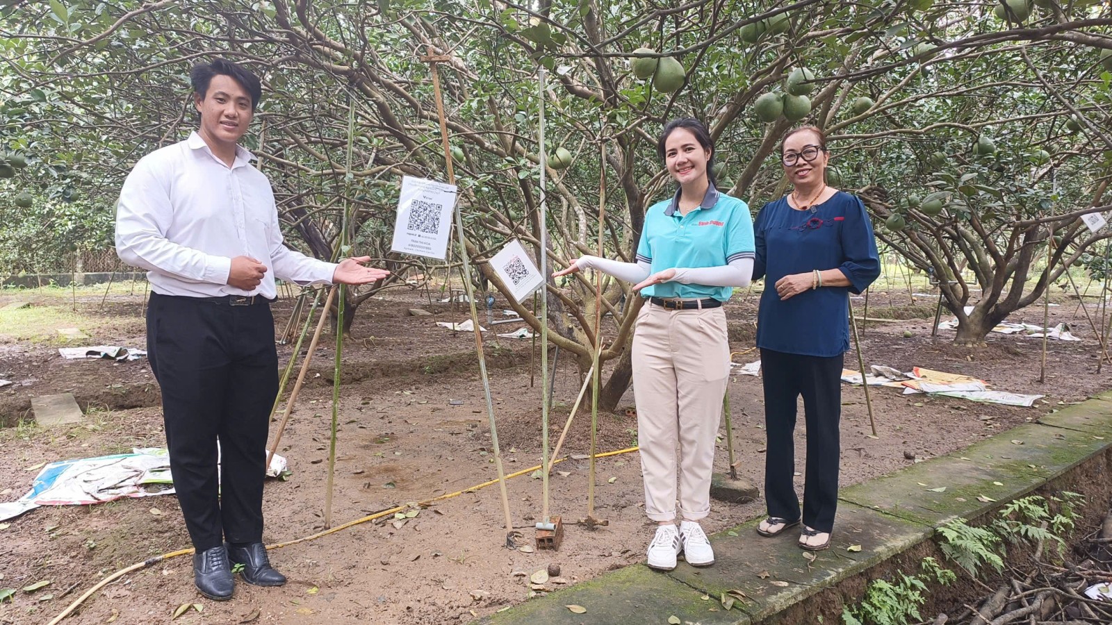 Thành viên Tổ công nghệ số xã Bạch Đằng giới thiệu với ê-kíp thực hiện chương trình Tôi yêu Bình Dương mô hình “Vườn bưởi công nghệ số”. Thành viên Tổ công nghệ số xã Bạch Đằng giới thiệu với ê-kíp thực hiện chương trình Tôi yêu Bình Dương mô hình “Vườn bưởi công nghệ số”.