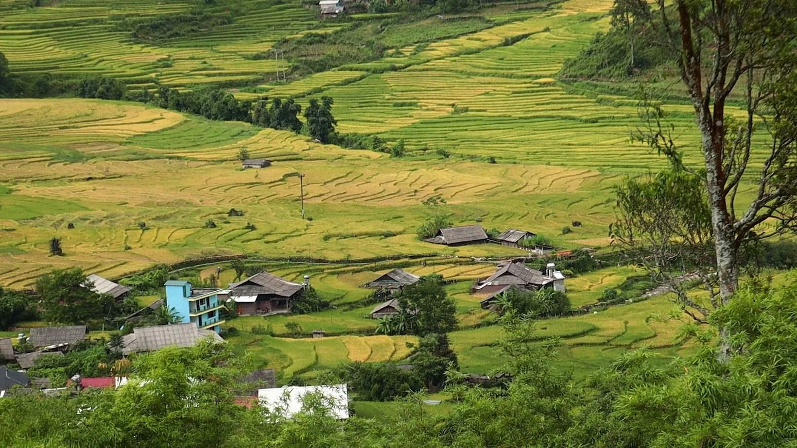 Ở Lao Chải cũng có khá nhiều homestay nằm ngay trong bản, với tầm nhìn hướng ra ruộng lúa đẹp mắt.