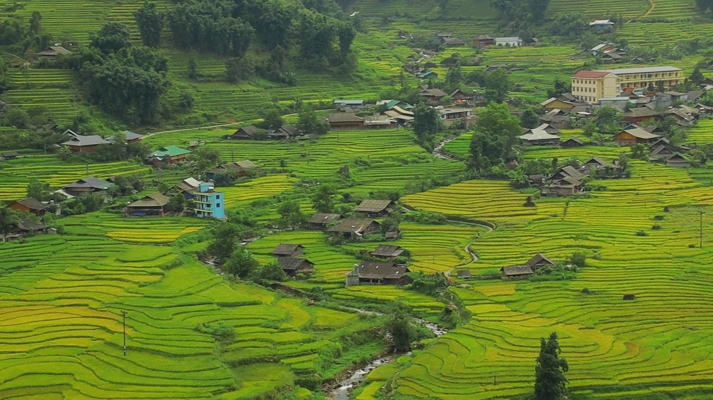 Dòng suối uốn quanh những thửa ruộng bậc thang tạo nên khung cảnh thơ mộng.