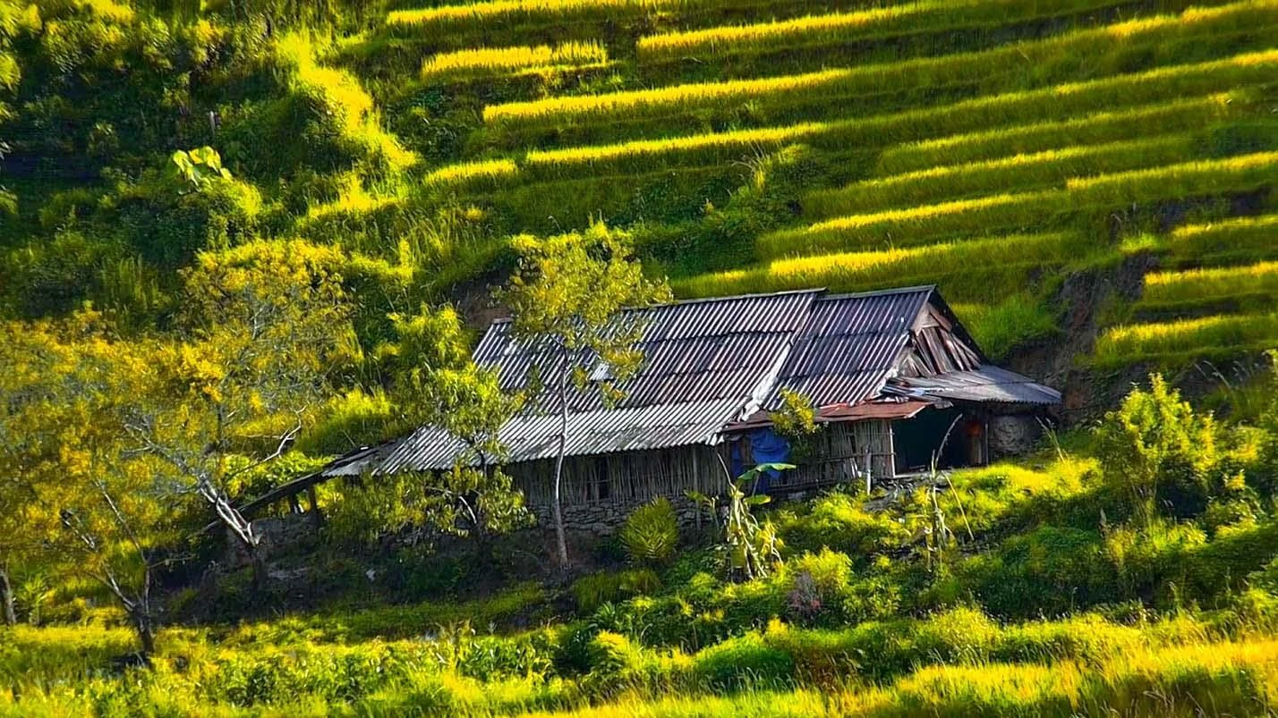 Ngoài khung cảnh thiên nhiên còn hoang sơ, đến Lao Chải, du khách còn có dịp khám phá, trải nghiệm đời sống của người dân bản địa.