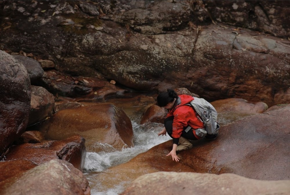 Thi thoảng sẽ bắt gặp vài con suối, con thác nhỏ với làn nước trong veo mát lạnh.