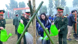 Các đơn vị quân đội đóng trên địa bàn tổ chức Lễ phát động “Tết trồng cây đời đời nhớ ơn Bác Hồ”