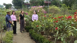 Tiếp thêm sức mạnh cho người dân vùng thiên tai