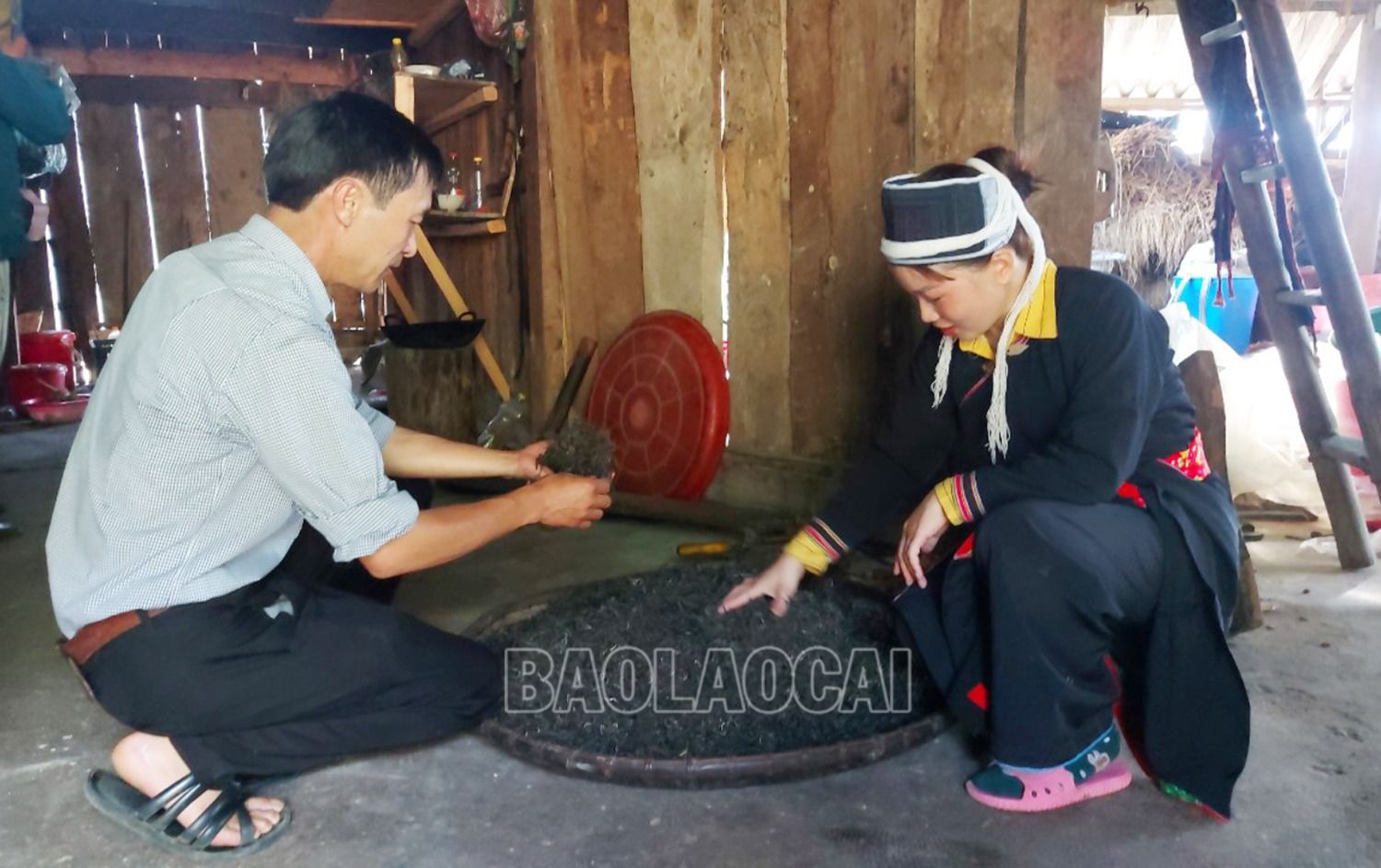 Cán bộ xã Tả Củ Tỷ đến hướng dẫn người dân cách sơ chế chè Shan tuyết cổ thụ đảm bảo chất lượng. Tuy Tả Củ Tỷ có nguồn chè cổ thụ quý nhưng việc nâng cao giá trị của cây chè đang là bài toán khó với địa phương. 9.jpg
