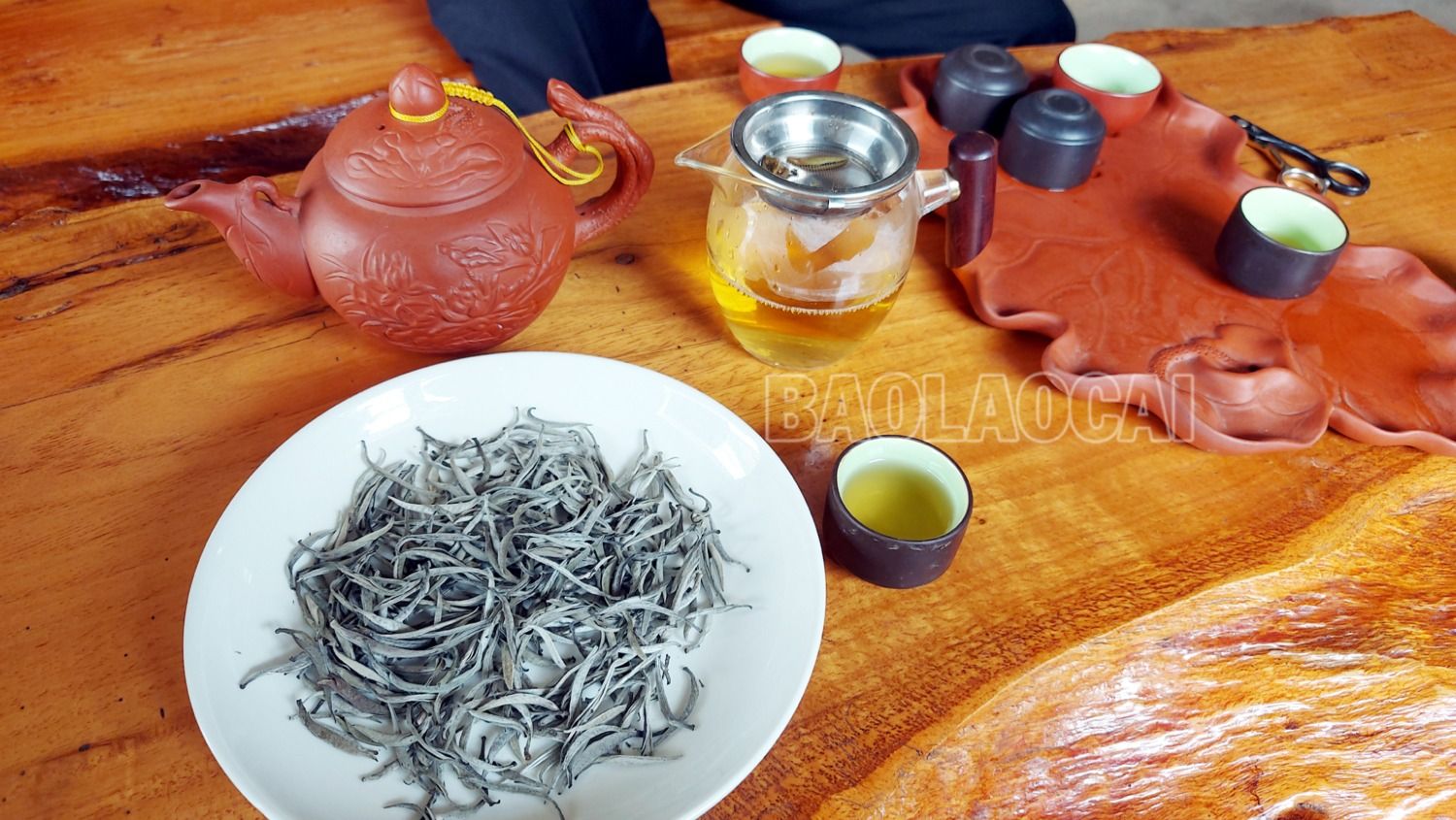 Trà Shan tuyết cổ thụ Tả Củ Tỷ được làm từ nguyên liệu chè búp tươi của những cây chè hàng trăm năm tuổi, hấp thụ nắng gió đại ngàn trên núi cao, nên có hương vị thơm ngon đặc biệt, khác hẳn với phẩm trà trồng ở những vùng khác. 10.jpg