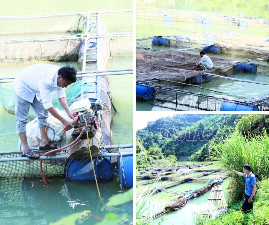 Hiện nay chỉ còn một số hộ dân duy trì nuôi cá lồng với số lượng nhỏ để phục vụ gia đình hoặc cho hộ dân khác mượn lồng nuôi cá. Tuy nhiên, hiệu quả kinh tế từ việc nuôi cá lồng không cao. 5.jpg