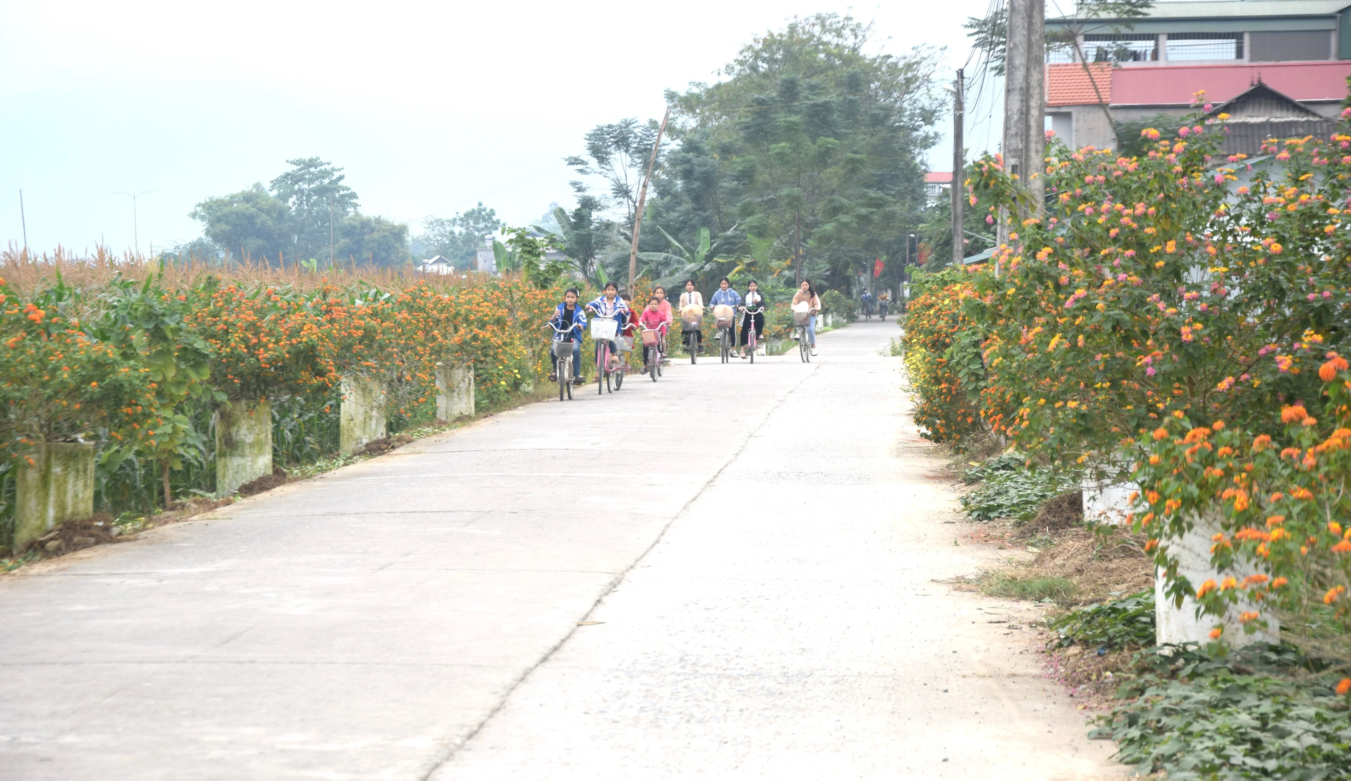 duong-hoa.jpg