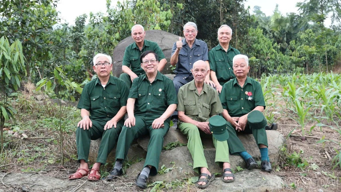 baolaocai-br_pt-10.jpg