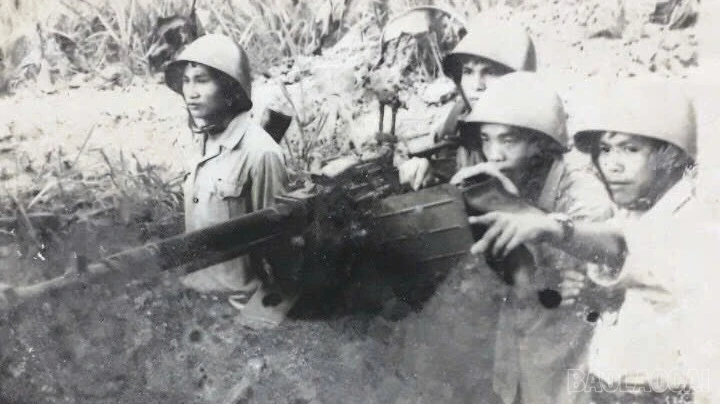 baolaocai-br_pt-11.jpg