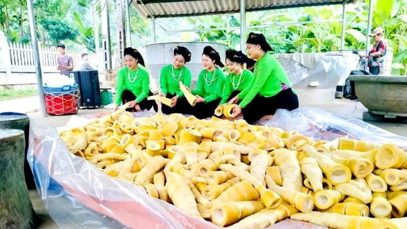 Lâm Thượng rộn ràng vào vụ măng mai