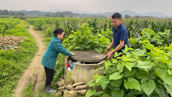 Cần một quy trình đồng bộ để bảo vệ "sức khỏe" đất canh tác