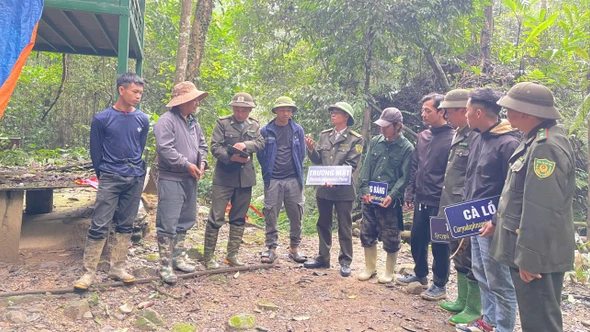 Bảo vệ đa dạng sinh học tại các khu bảo tồn thiên nhiên