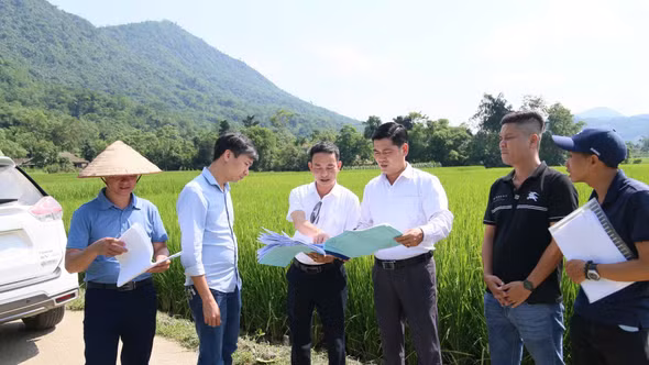 Lâm Thượng: Đẩy nhanh tiến độ hạ trạm biến áp để xóa bỏ tình trạng người dân phải tự kéo điện gây mất an toàn