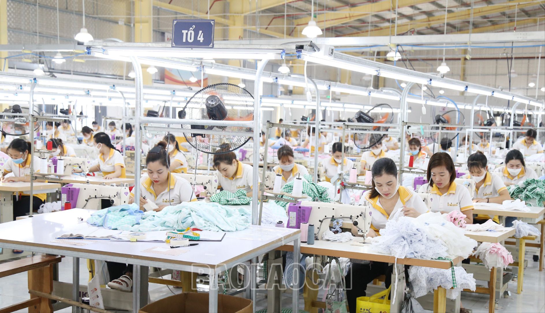 Duy trì hoạt động sản xuất tạo việc làm cho người lao động. TC7.jpg