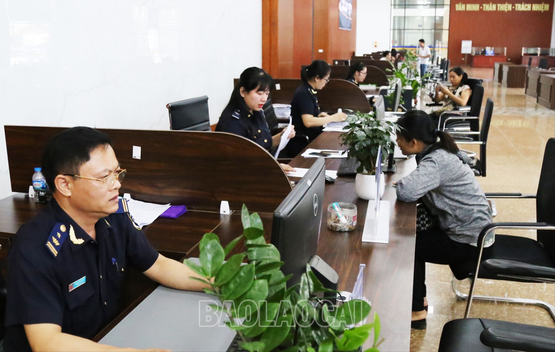 Giải quyết thủ tục hải quan cho doanh nghiệp. TC5.jpg