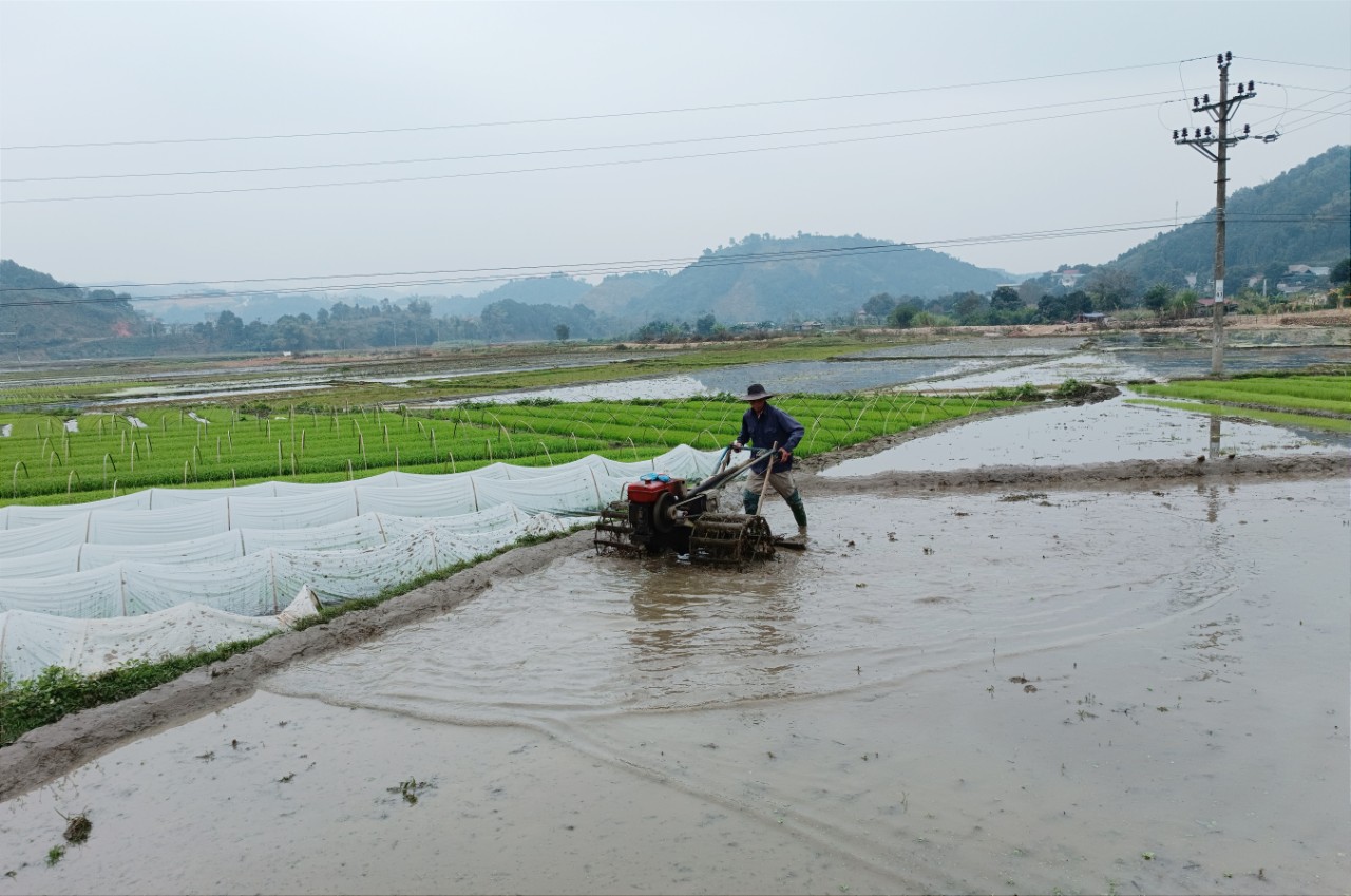 Đưa cơ giới vào làm đất. R16.jpg