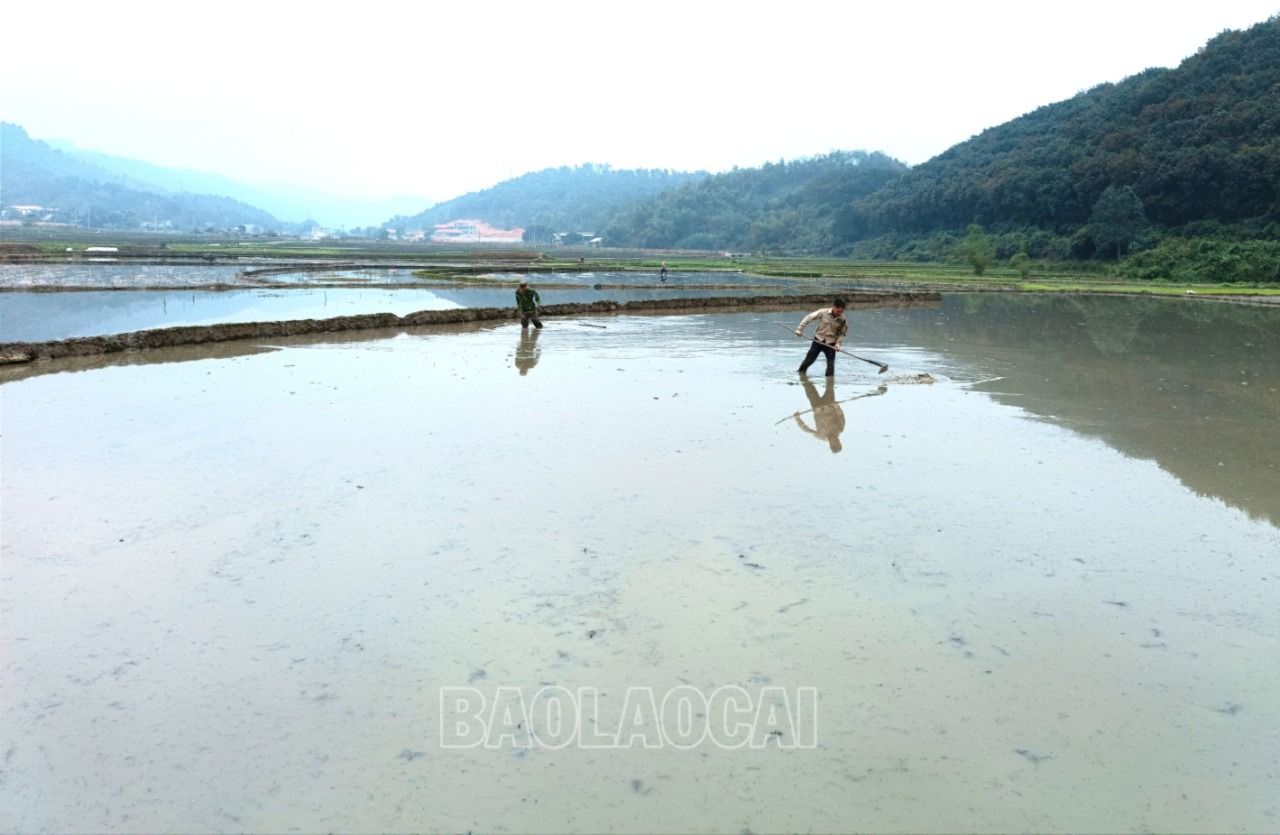 Diện tích trũng nên nông dân làm đất thủ công. R8.jpg