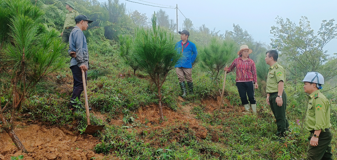 Toàn tỉnh phấn đấu kết thúc năm 2023 trồng mới 3.790 ha rừng. CTT3.jpg