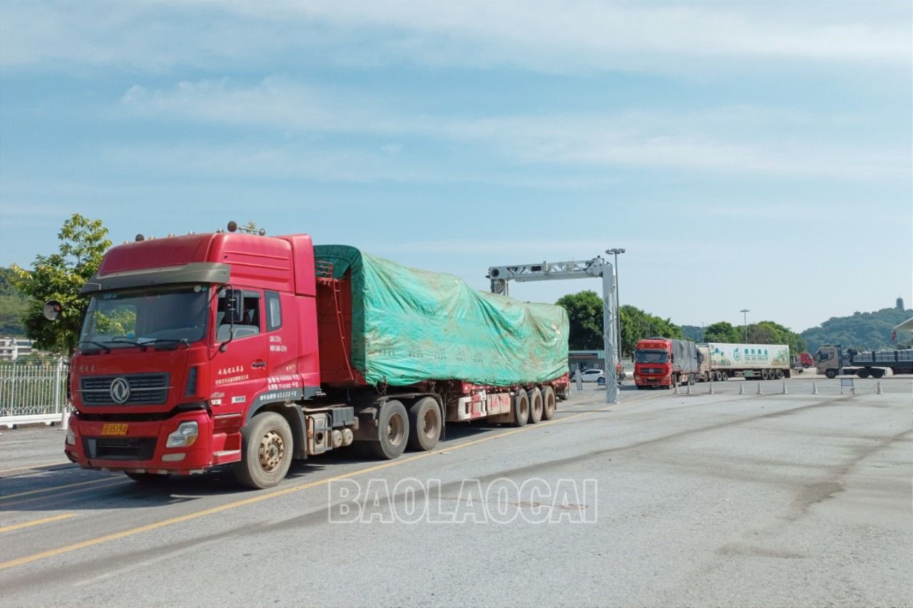 Thực hiện soi chiếu container tại khu vực Cửa khẩu Quốc tế đường bộ số II Kim Thành. H3.jpg