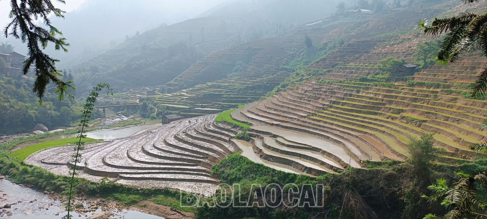 Đến nay, nông dân đã làm đất được trên 12.800 ha, đạt 98,6% kế hoạch. LUA 3.jpg