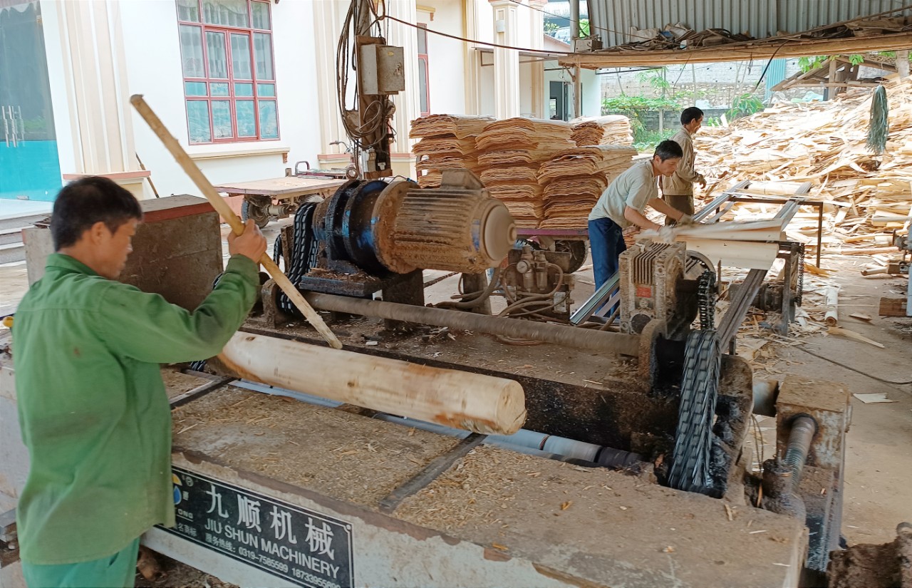 Khu vực nông, lâm nghiệp duy trì đà tăng trưởng ổn định. TT1.jpg
