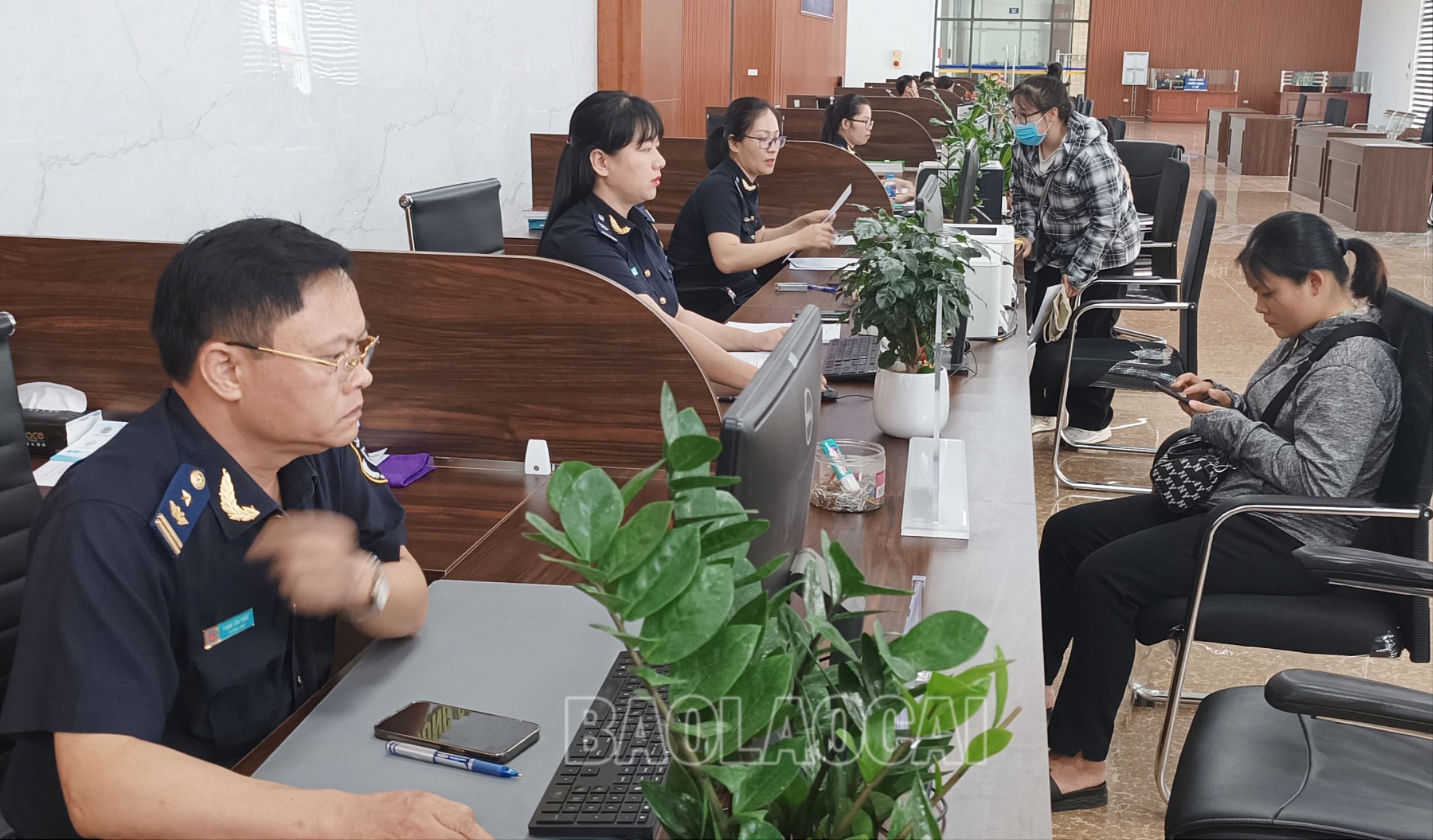Giải quyết thủ tục hải quan cho doanh nghiệp. CK3.jpg