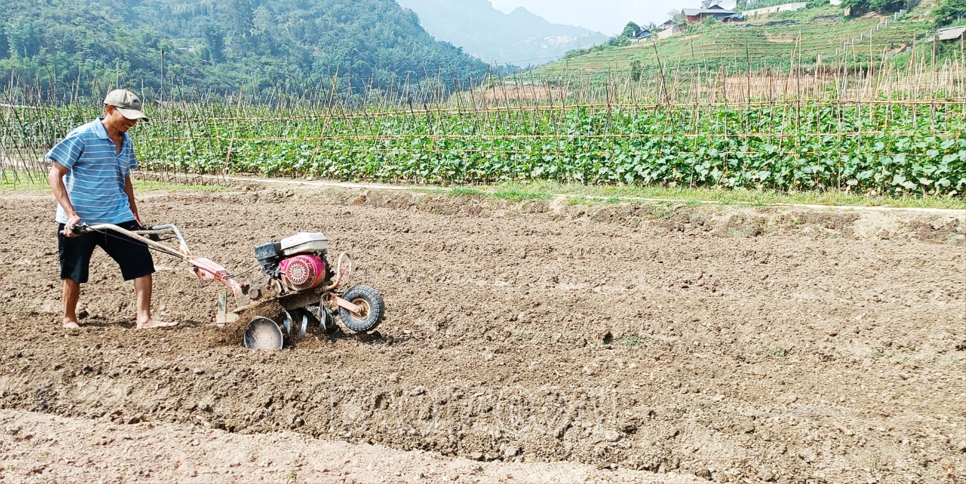 Cơ giới hóa trong sản xuất nông nghiệp. SP2.jpg
