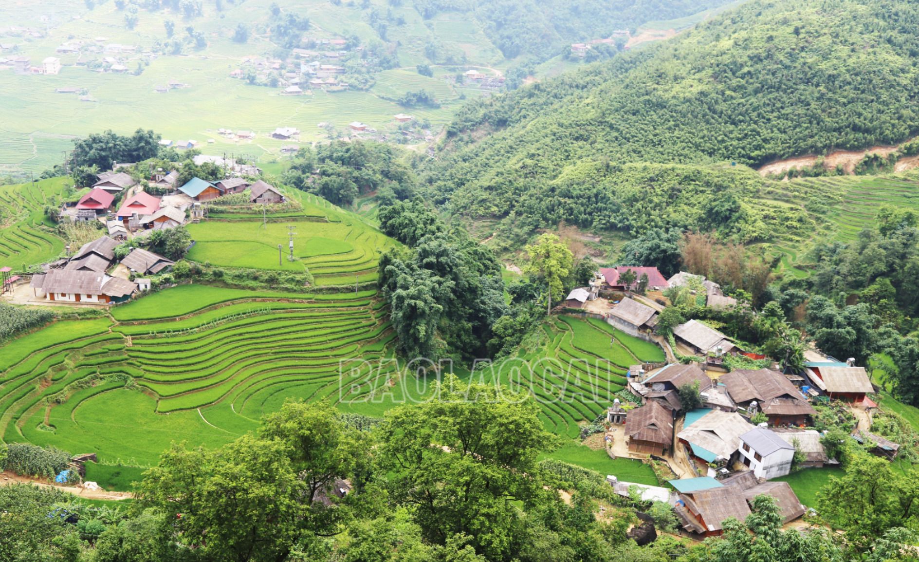 Nông nghiệp, nông thôn Sa Pa ngày càng khởi sắc. SP5.jpg